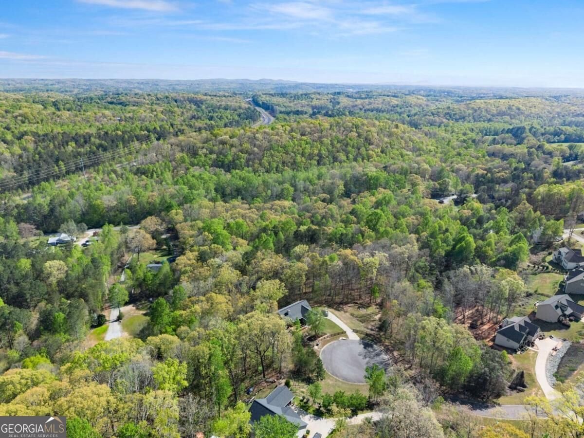 334 Old White Oak Trail Dawsonville - Photo 63