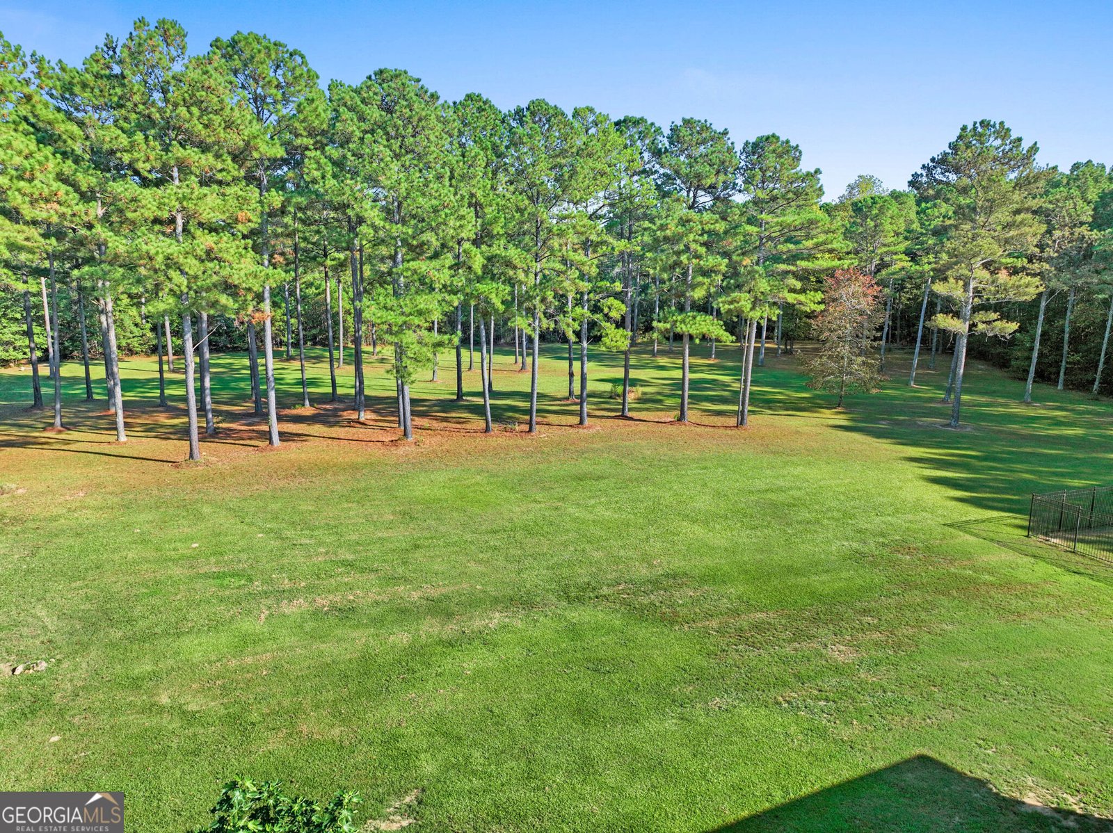265 Blossom Ridge Trail Fayetteville - Photo 80