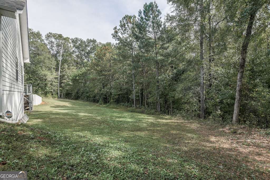 155 Alcovy Reserve Way Covington - Photo 19