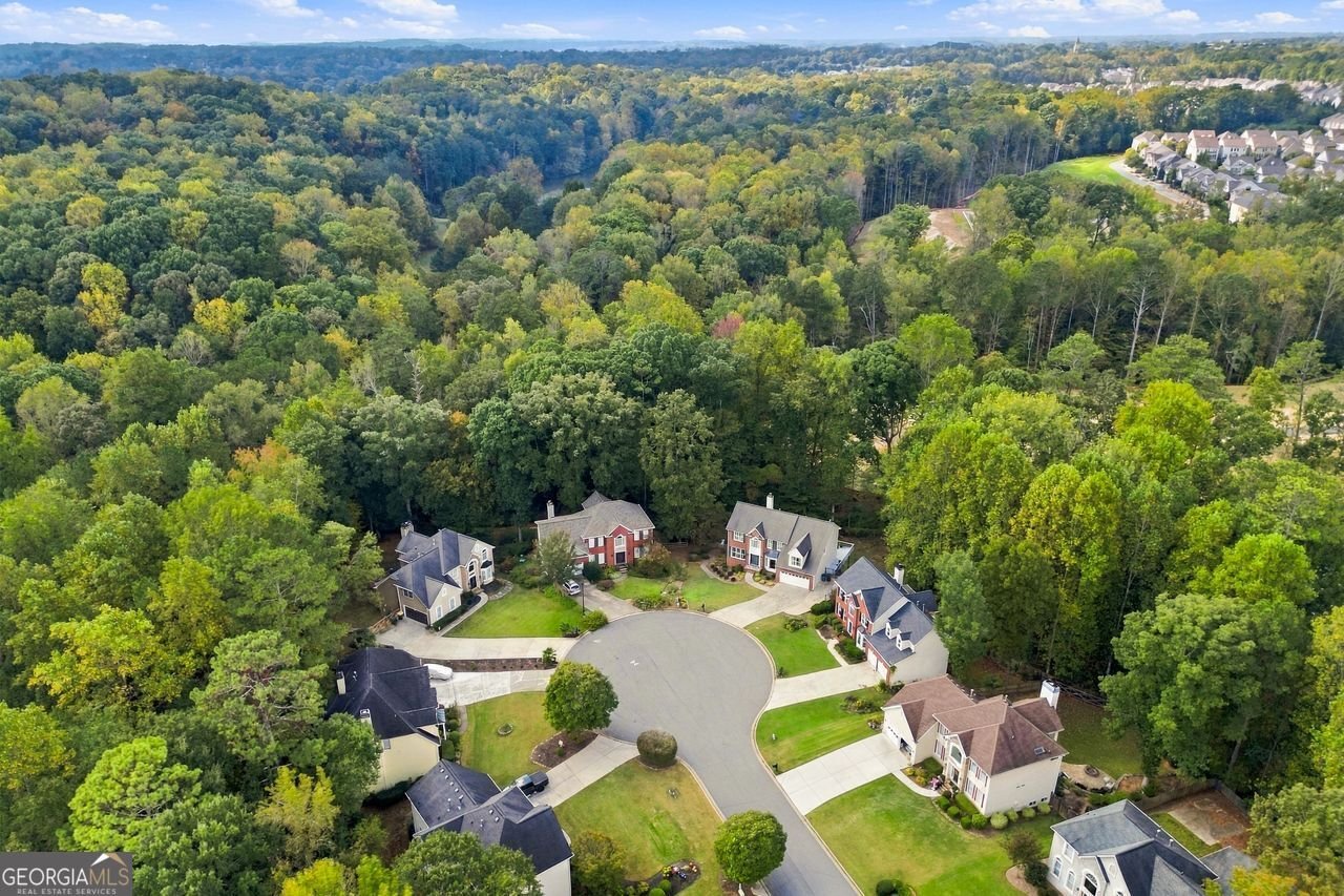 10970 Chandon Way Johns Creek - Photo 49