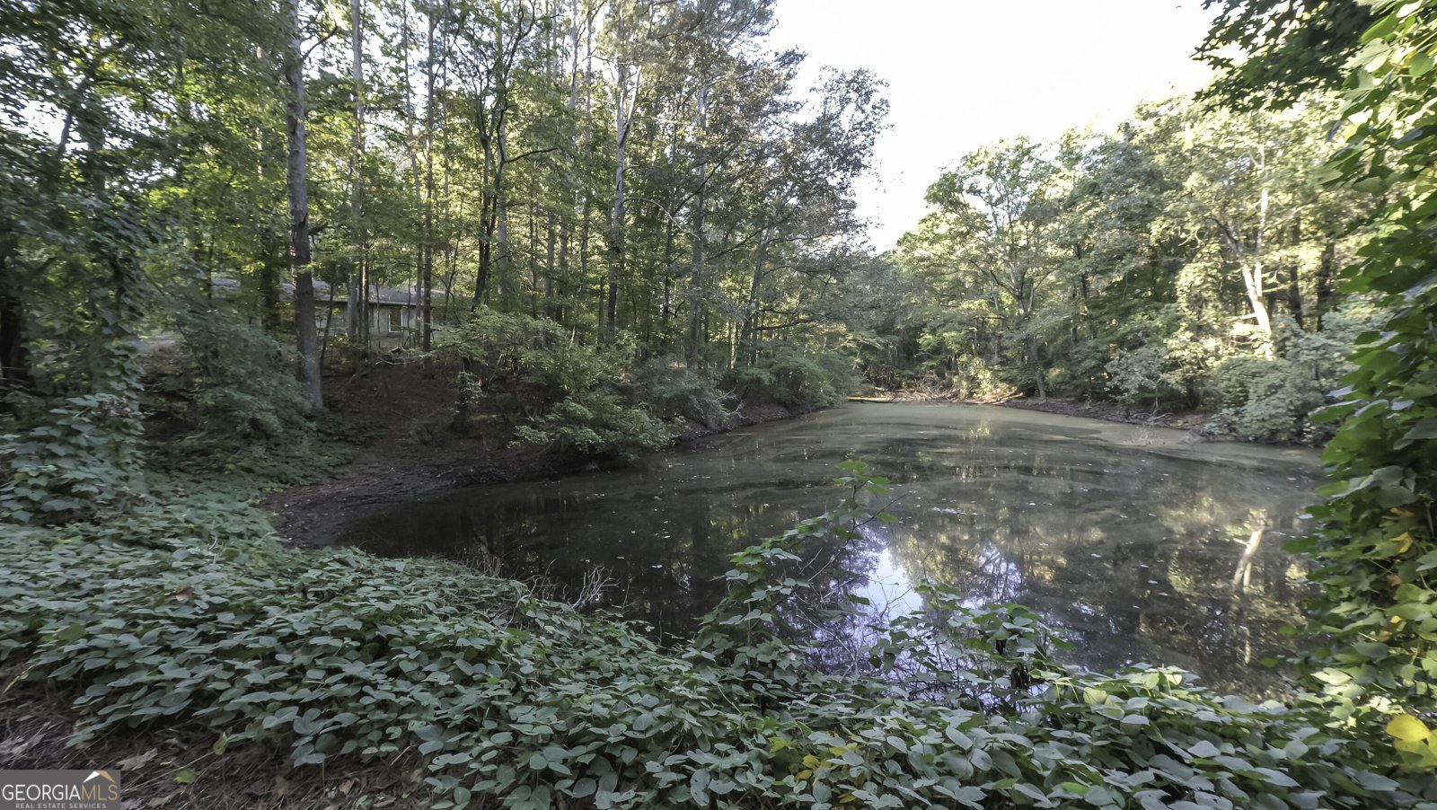 14 Daniel Rd. Tallapoosa - Photo 10