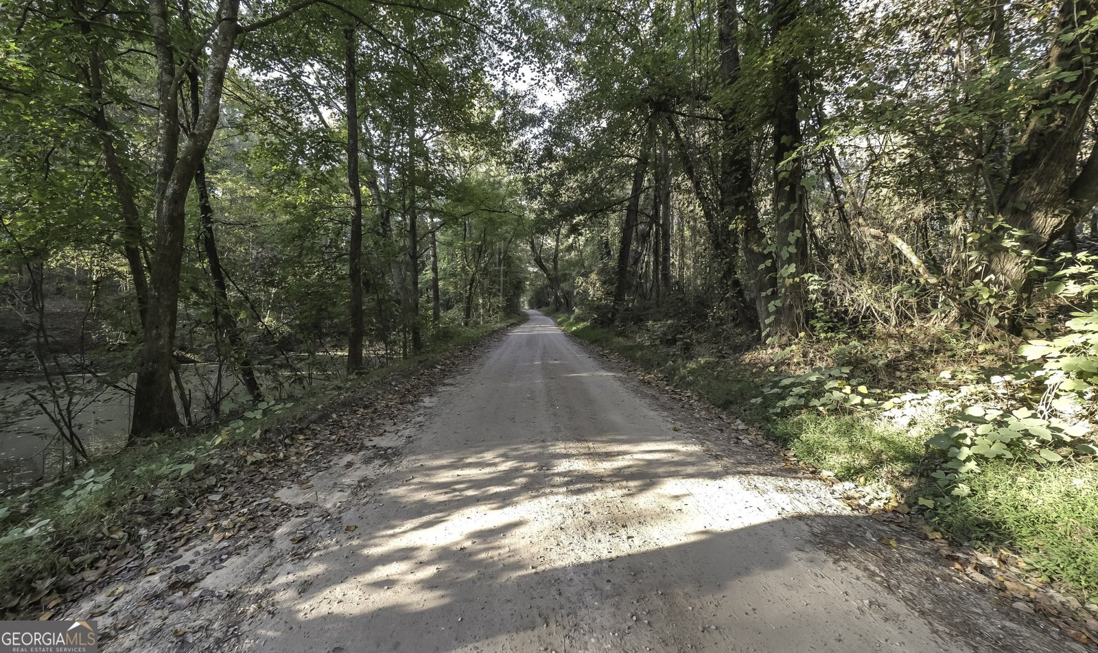 14 Daniel Rd. Tallapoosa - Photo 7