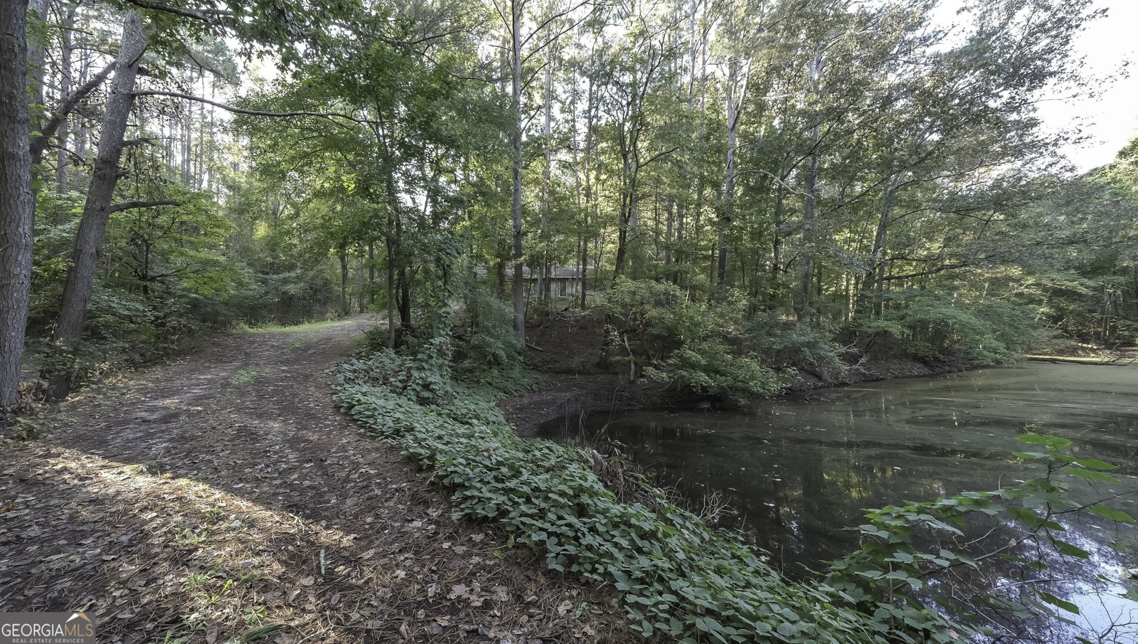 14 Daniel Rd. Tallapoosa - Photo 8