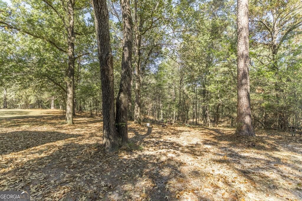 103 Brittwod Court Warner Robins - Photo 38