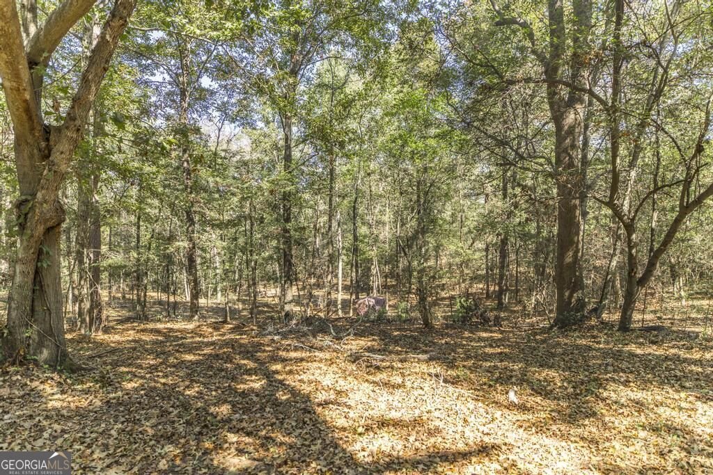 103 Brittwod Court Warner Robins - Photo 40