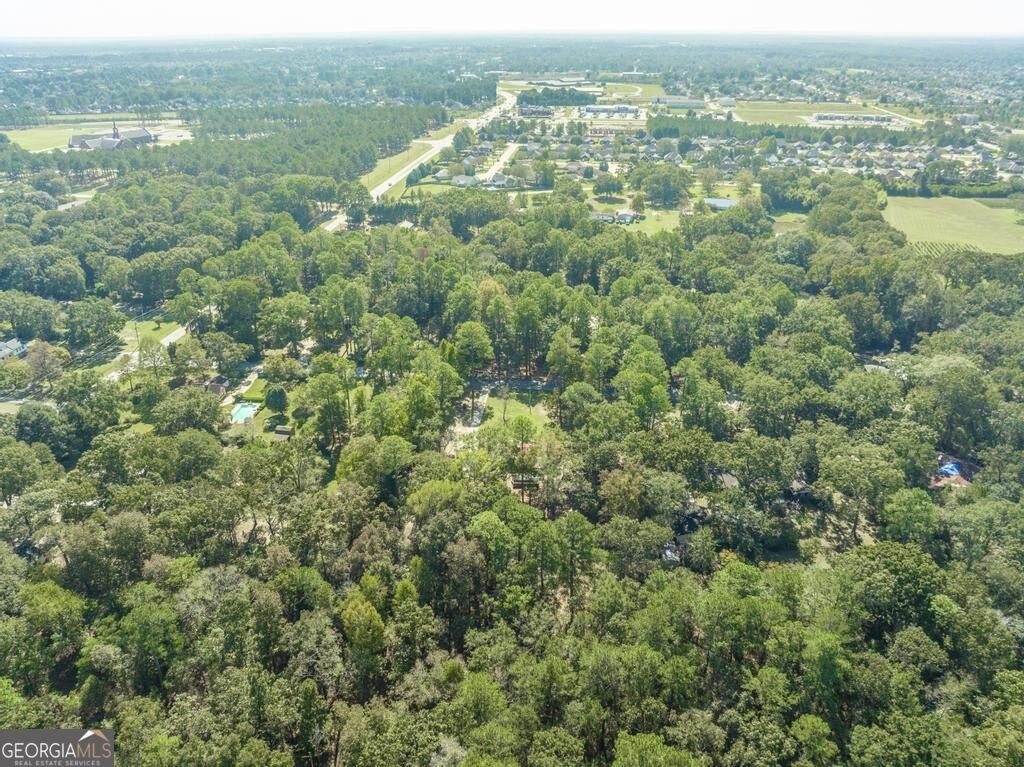 103 Brittwod Court Warner Robins - Photo 44