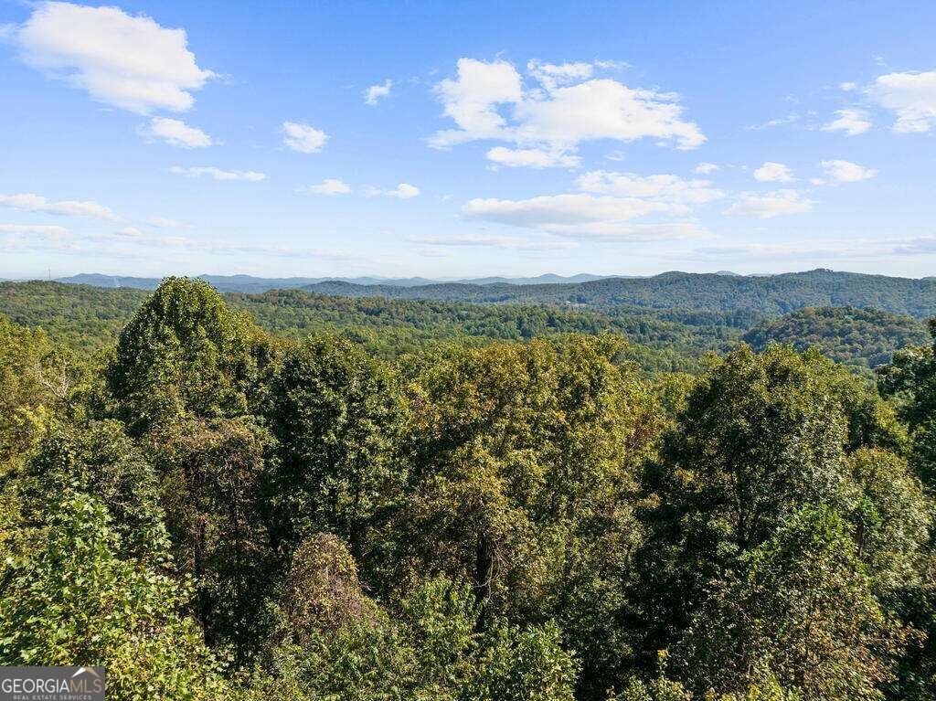 929 Overlook Road Blue Ridge - Photo 47