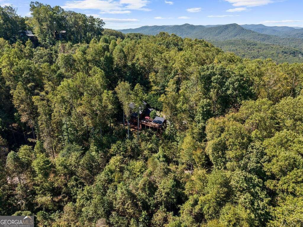 929 Overlook Road Blue Ridge - Photo 50