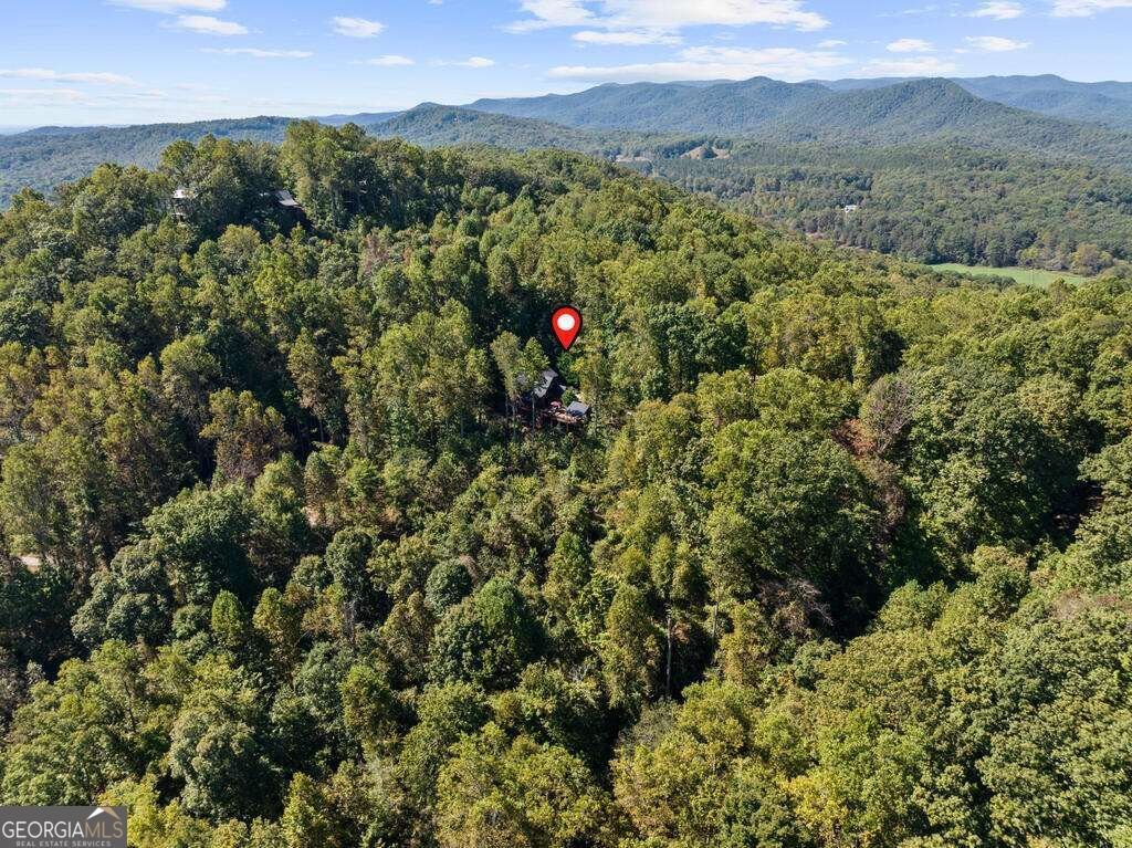 929 Overlook Road Blue Ridge - Photo 53