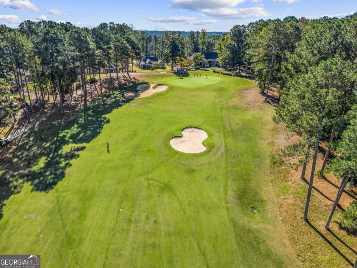 1060 Shadow Creek Way Greensboro - Photo 46