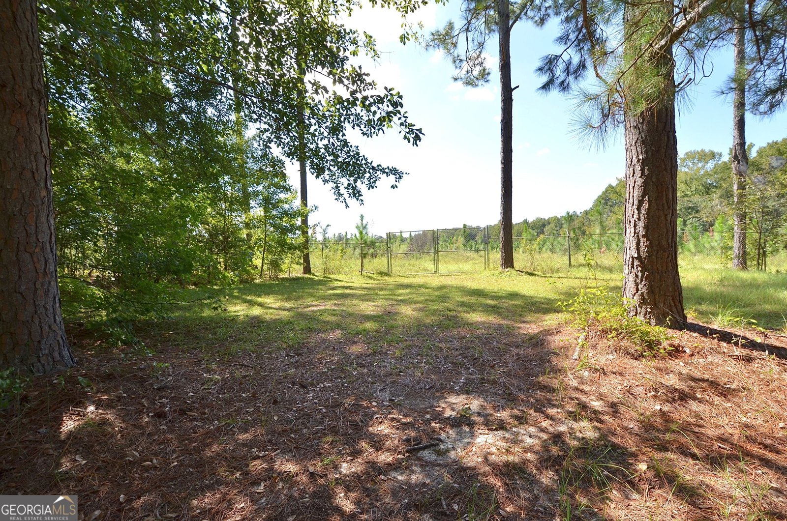 2863 Plainfield Road Chester - Photo 64