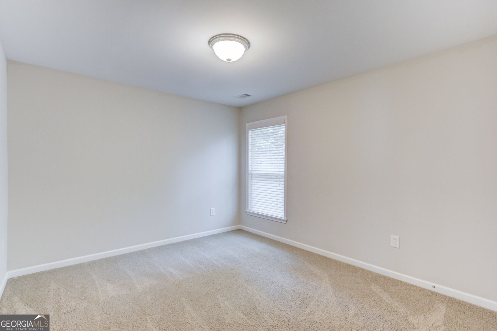1043 Liberty Park Drive Braselton - Photo 28