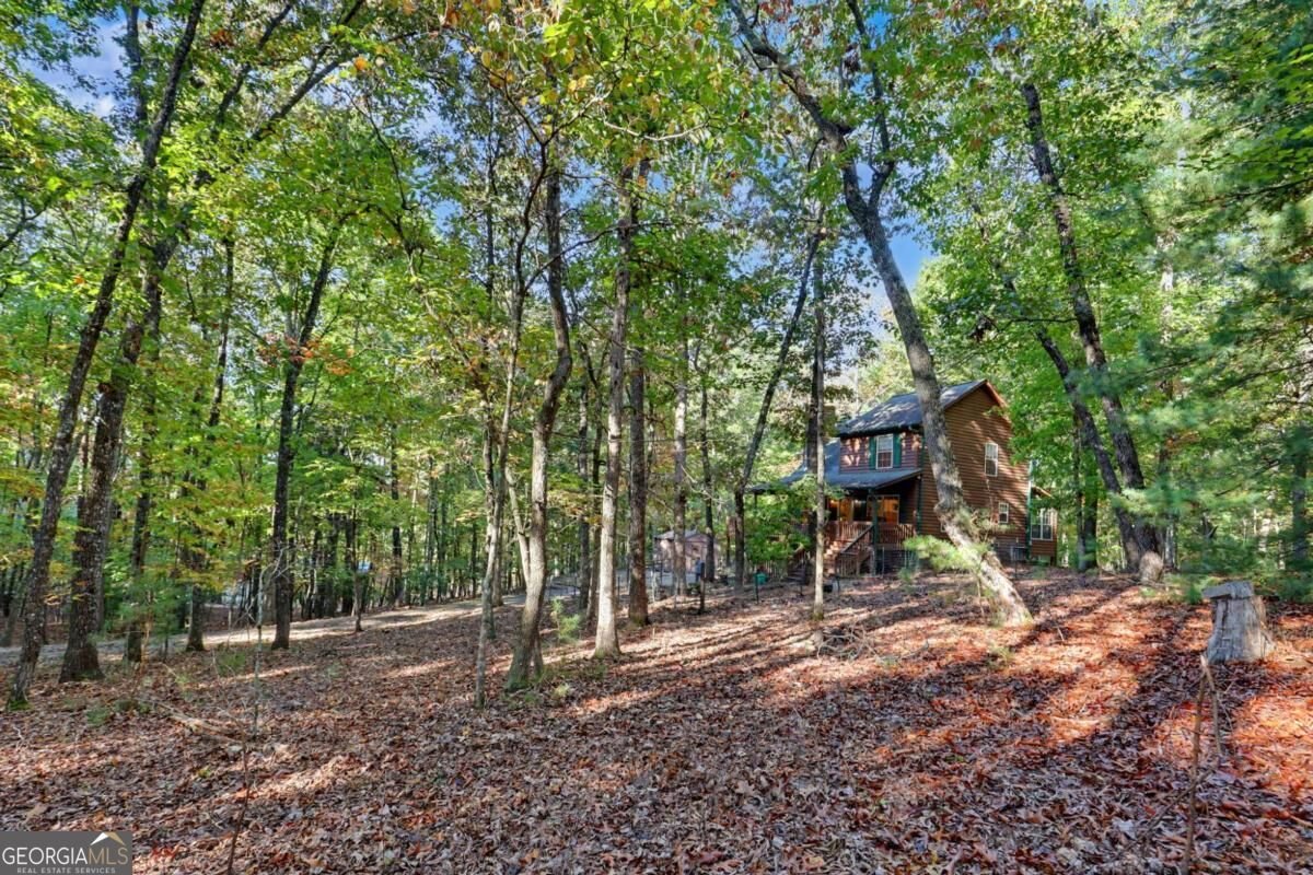 86 Buddy Lane Blairsville - Photo 49