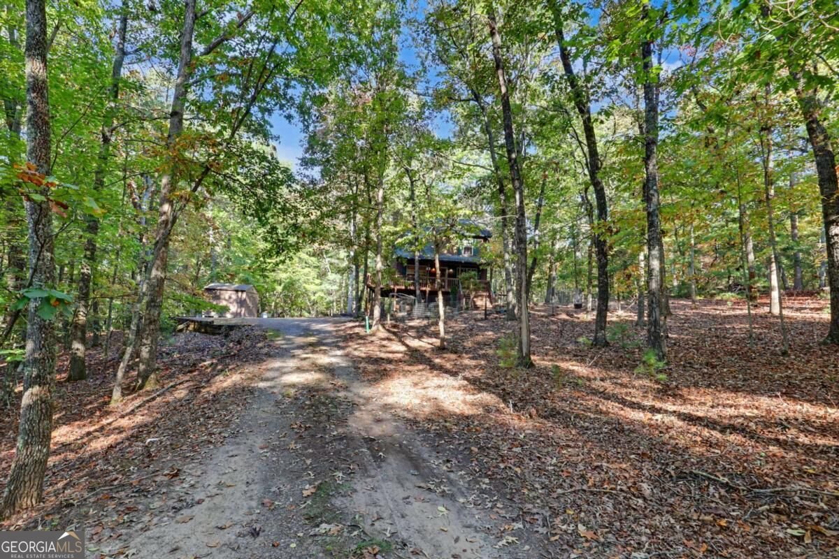 86 Buddy Lane Blairsville - Photo 61