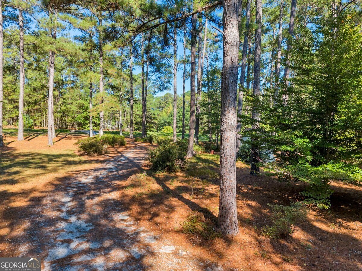 6620 New Hope Road Milner - Photo 38
