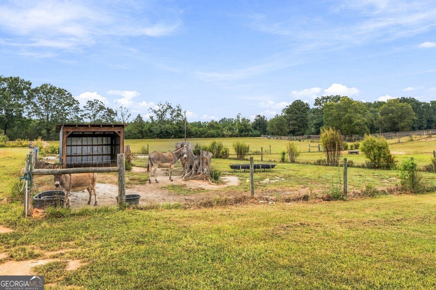 233 Brent Rd Barnesville - Photo 11