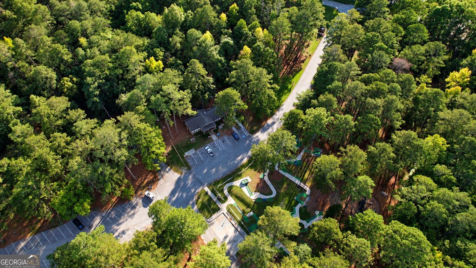 4140 Mount Paran Drive Social Circle - Photo 69