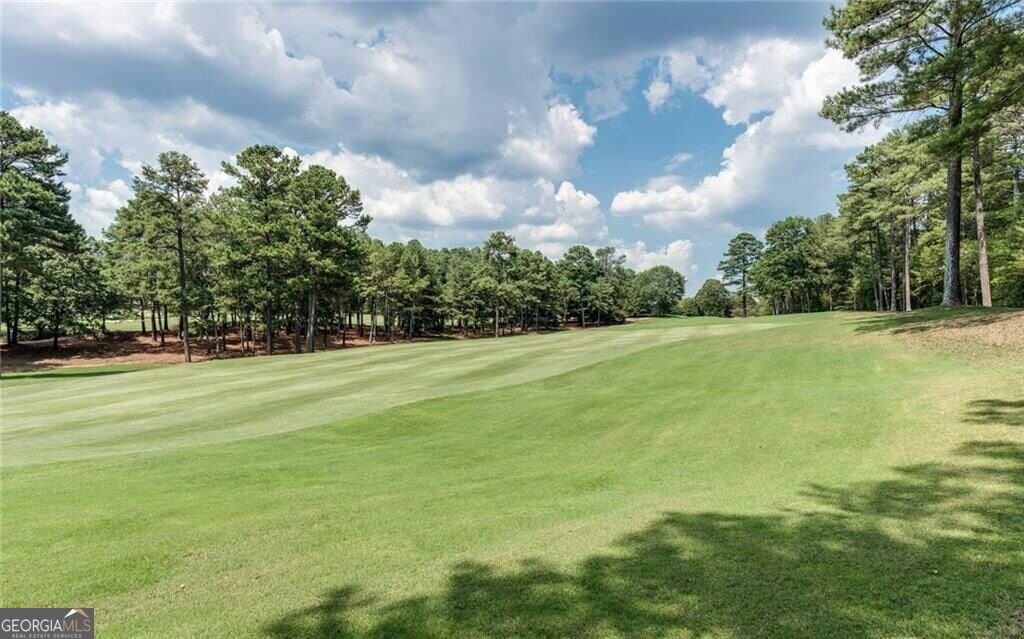 110 Clipper Bay Drive Alpharetta - Photo 38