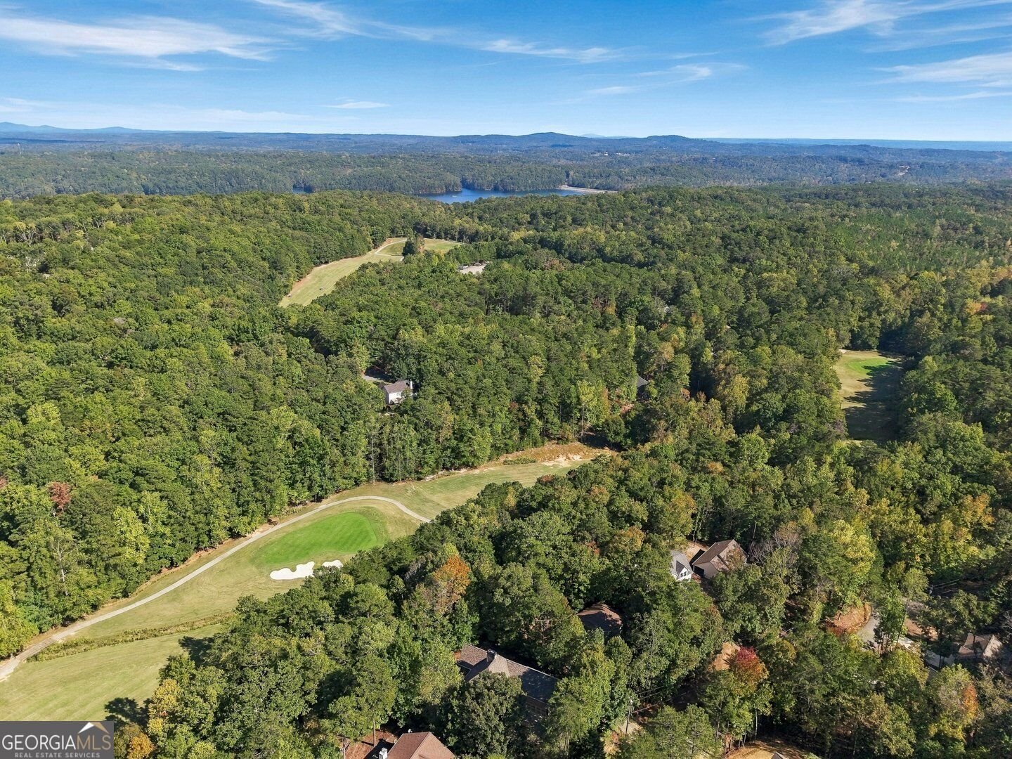 138 Wolverine Drive Waleska - Photo 45