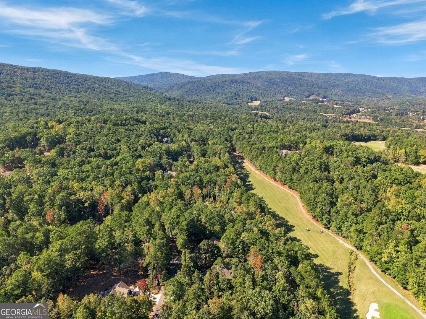 138 Wolverine Drive Waleska - Photo 46