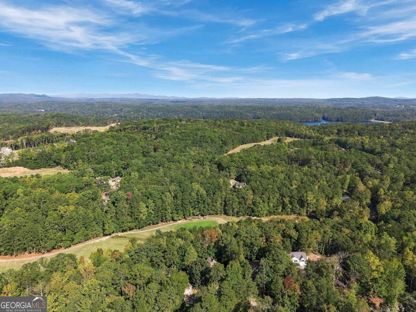 138 Wolverine Drive Waleska - Photo 47