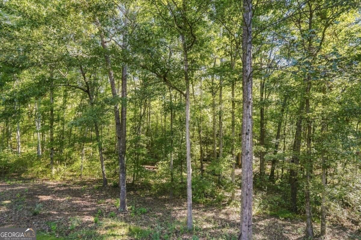 106 Shalea Lane Ball Ground - Photo 58