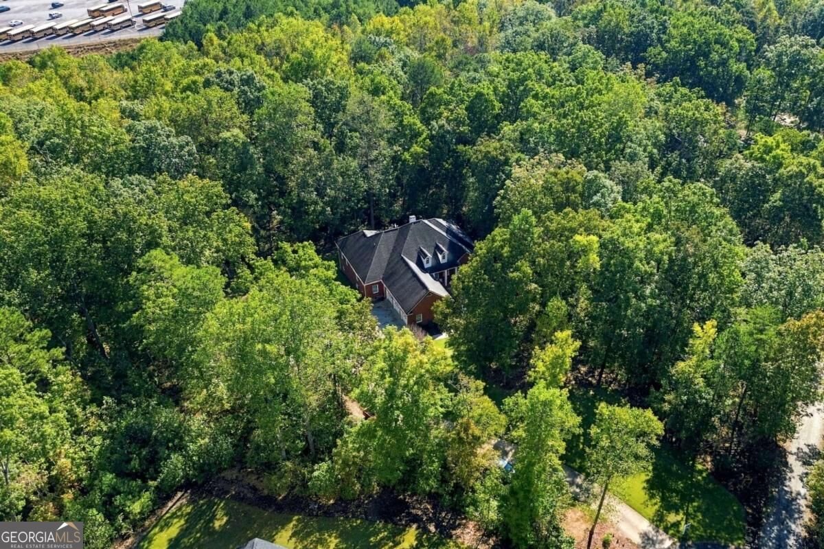 106 Shalea Lane Ball Ground - Photo 60