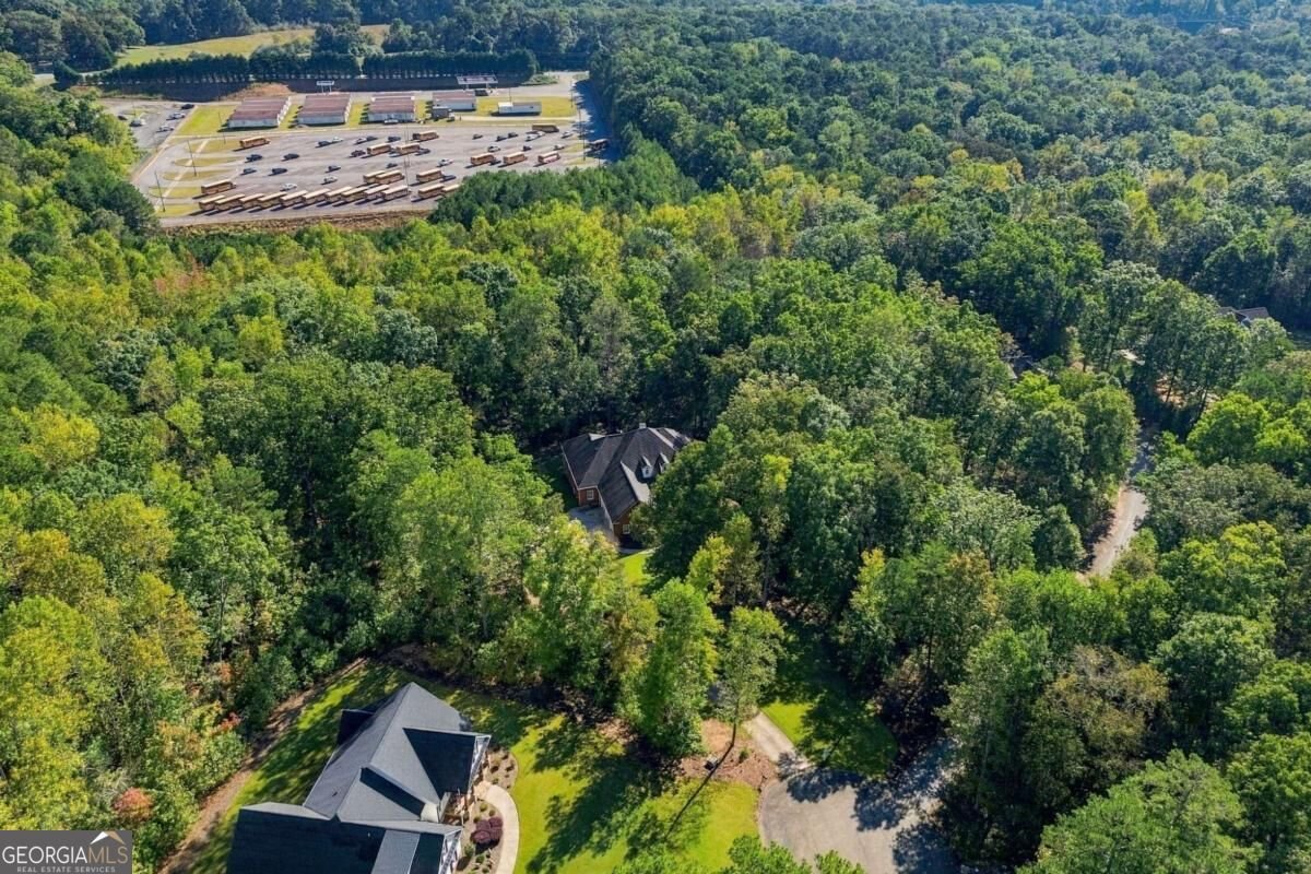 106 Shalea Lane Ball Ground - Photo 61