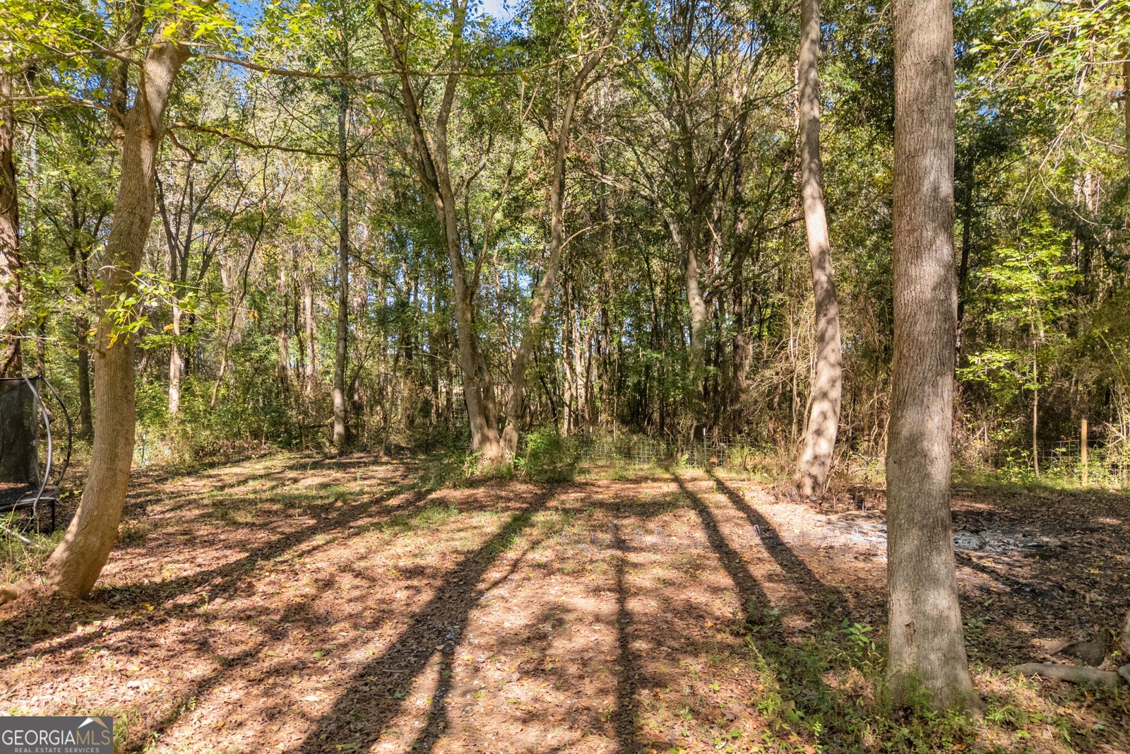 95 Racetrack Road Danielsville - Photo 80