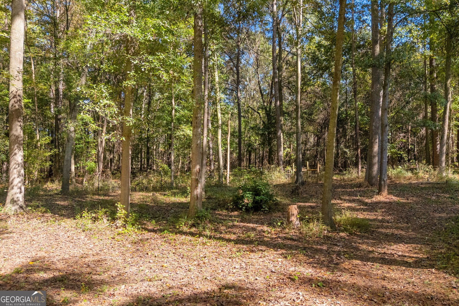 95 Racetrack Road Danielsville - Photo 81