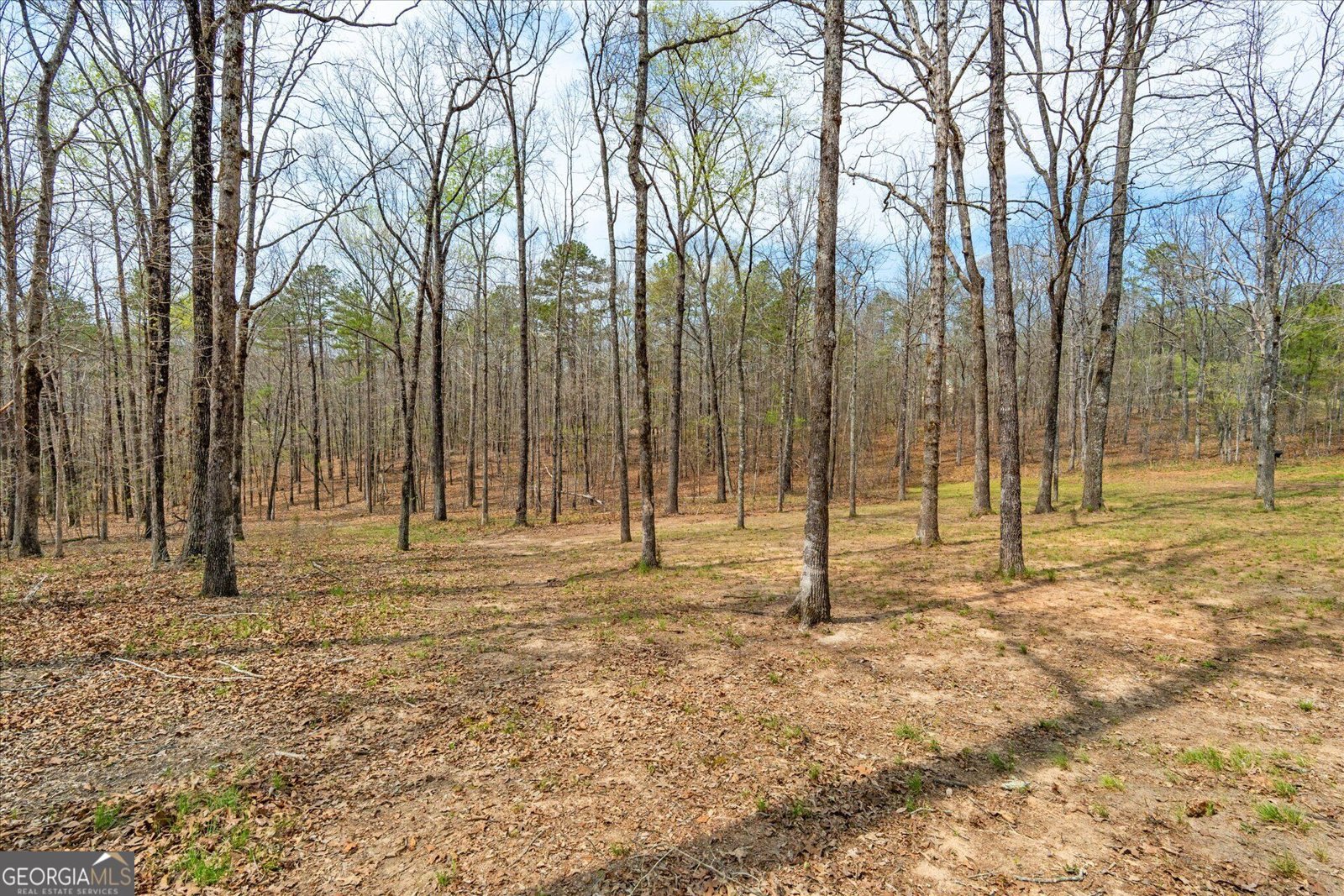733 Cherry Road Franklin - Photo 11