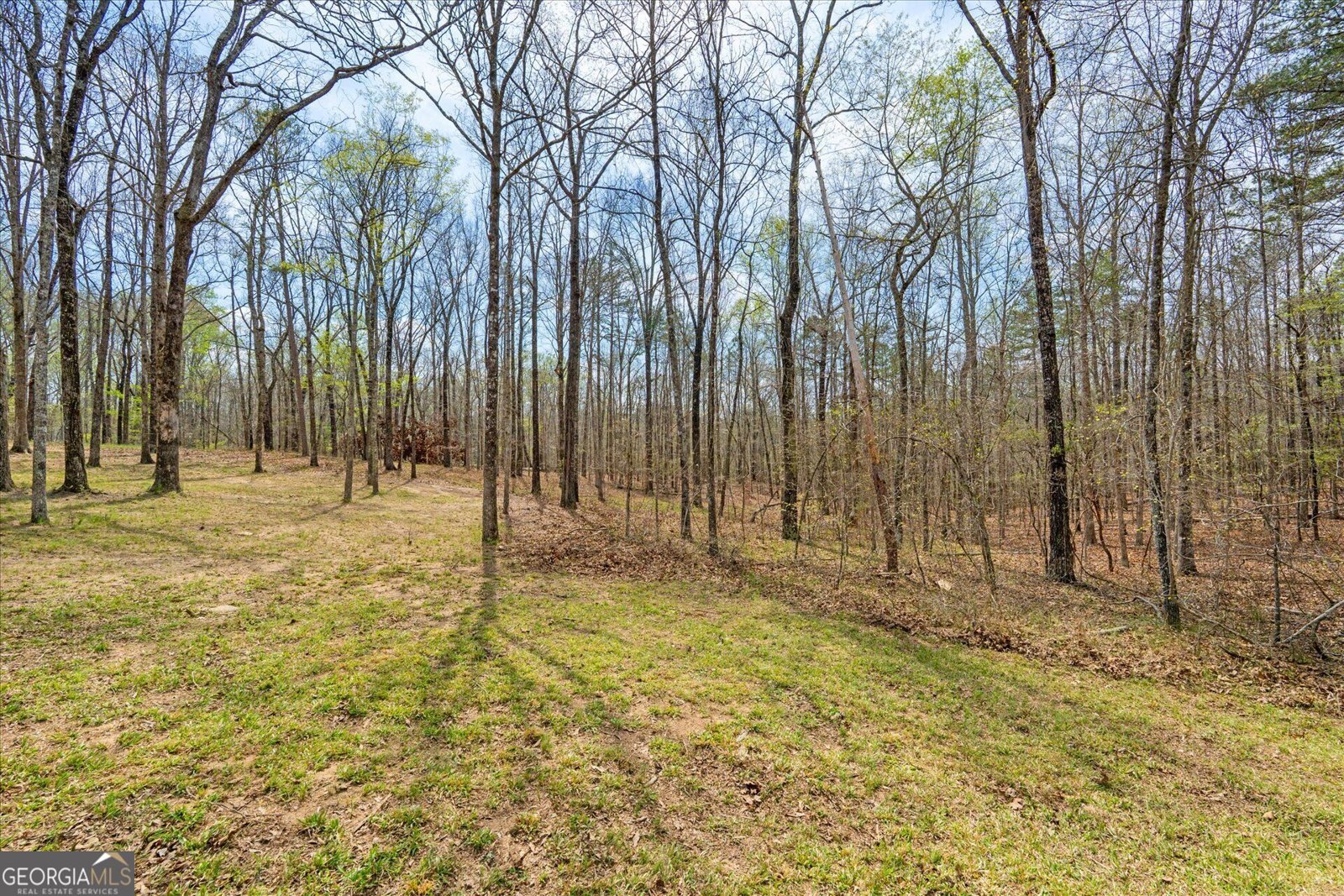 733 Cherry Road Franklin - Photo 6