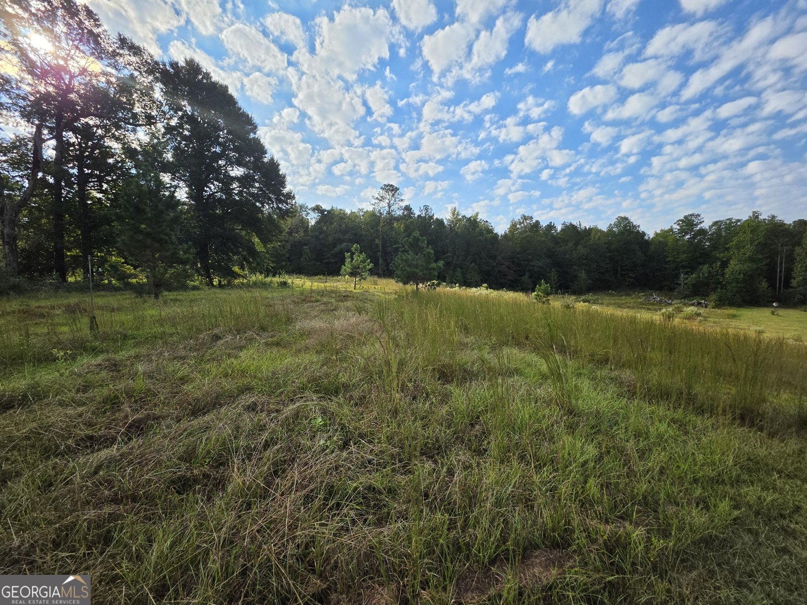 5362 B Highway 24 Sardis - Photo 18