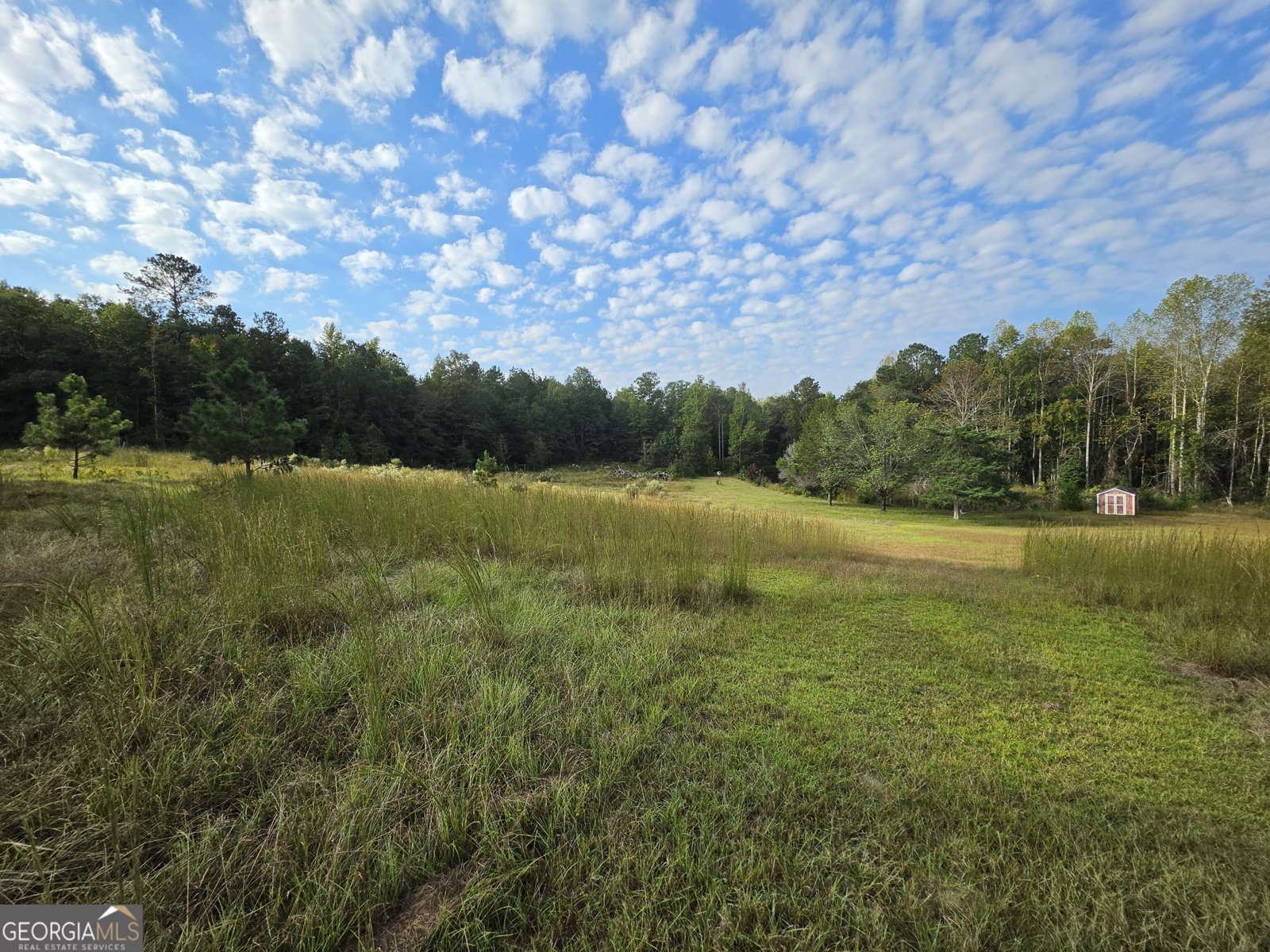 5362 B Highway 24 Sardis - Photo 19