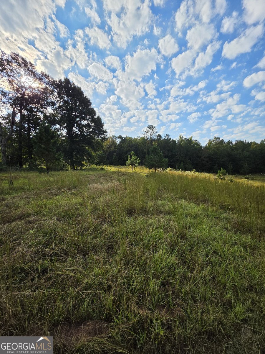 5362 B Highway 24 Sardis - Photo 20