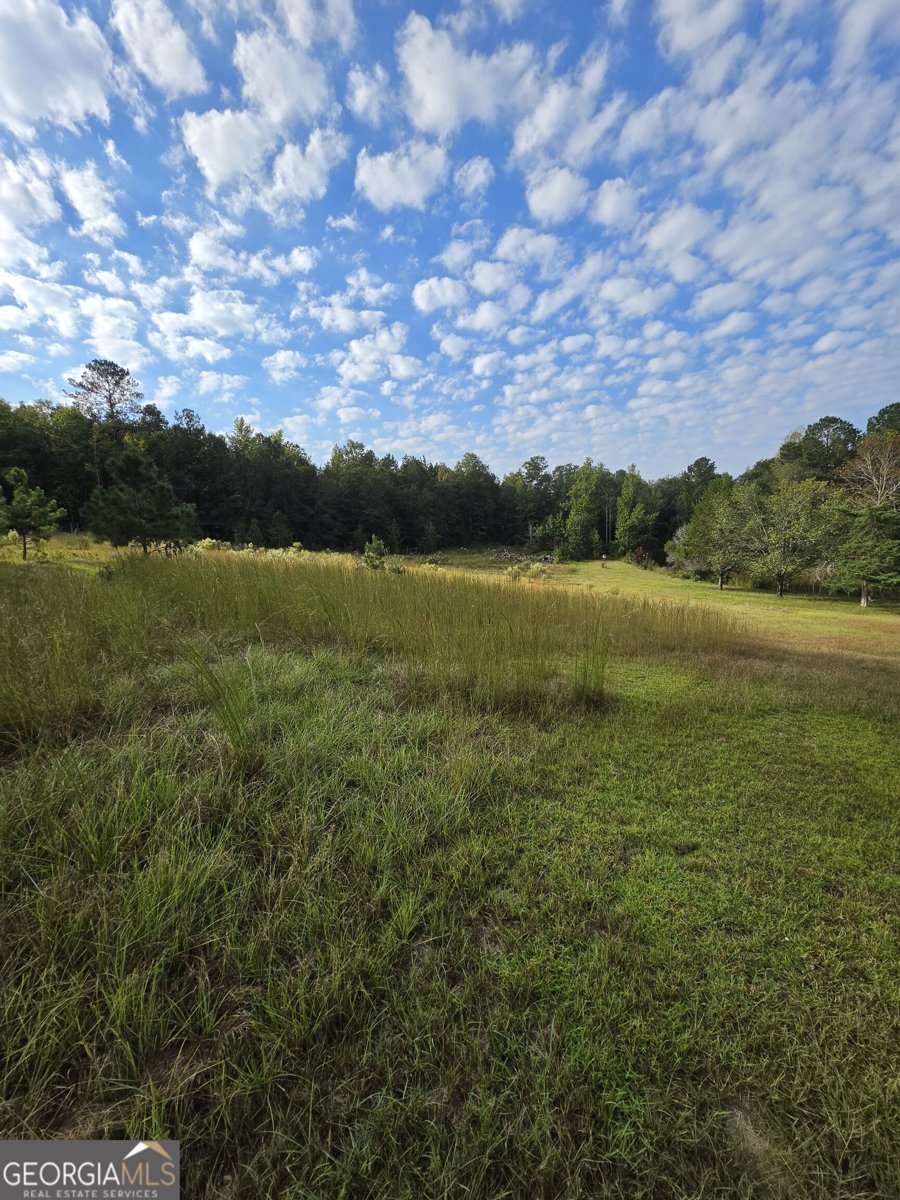5362 B Highway 24 Sardis - Photo 22