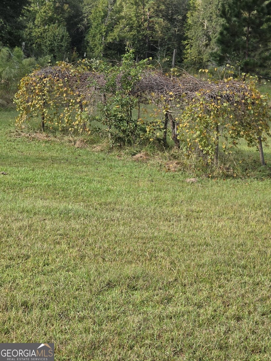 5362 B Highway 24 Sardis - Photo 27