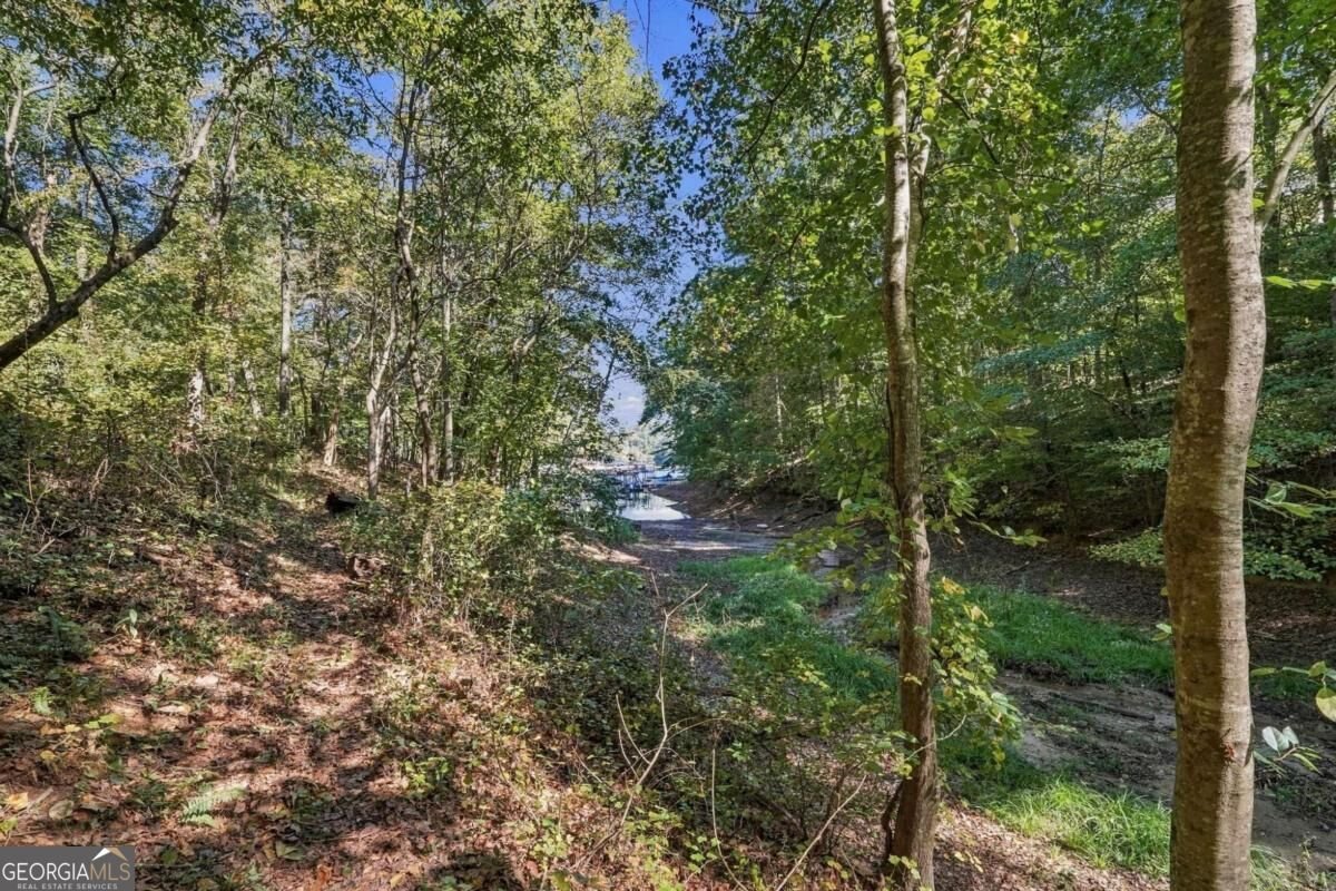 8965 Old Keith Bridge Road Gainesville - Photo 54