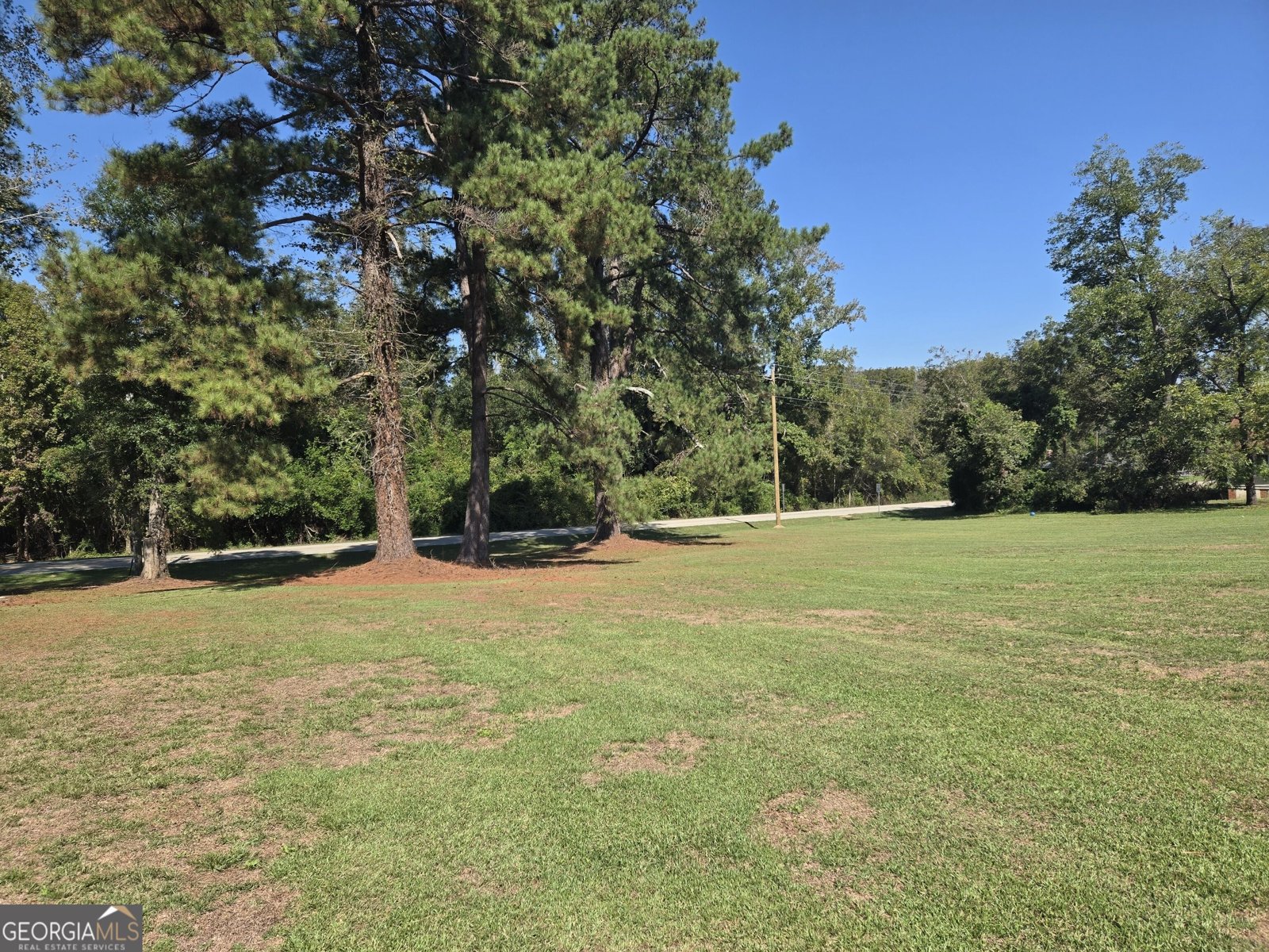 795 Main Street Davisboro - Photo 10