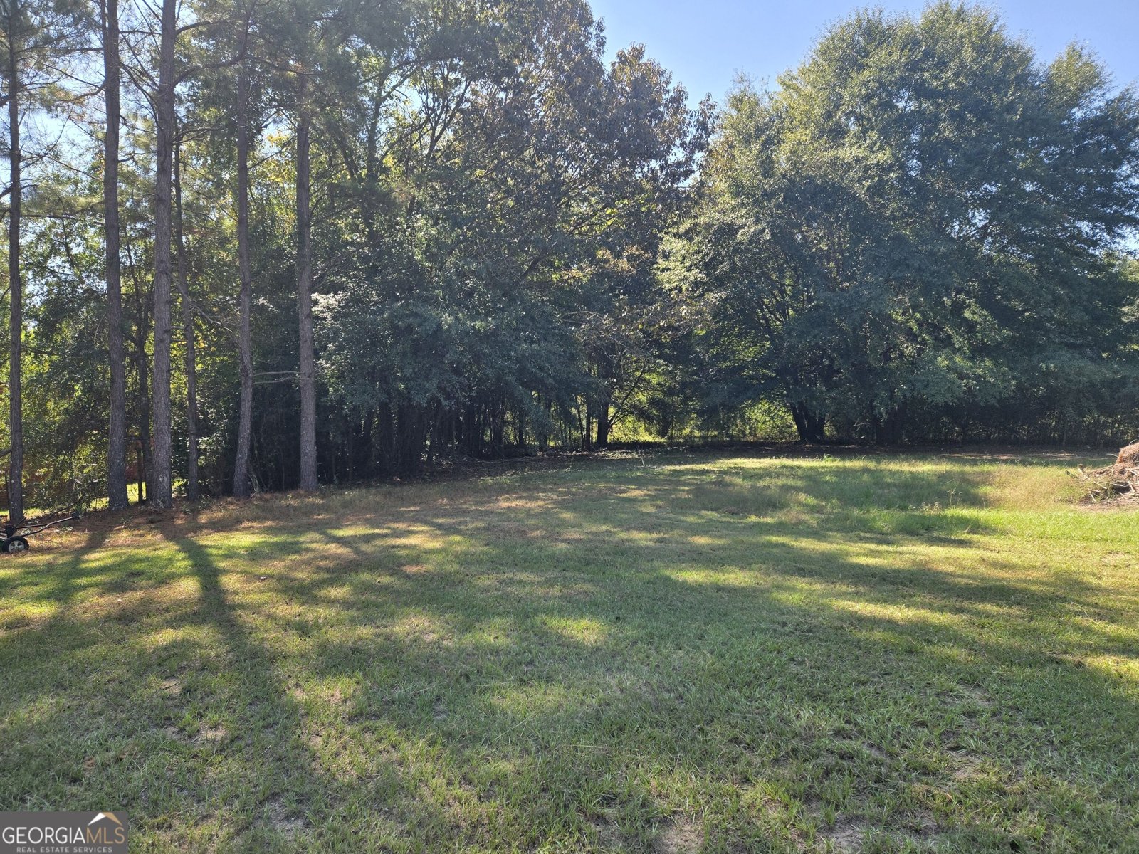 795 Main Street Davisboro - Photo 113