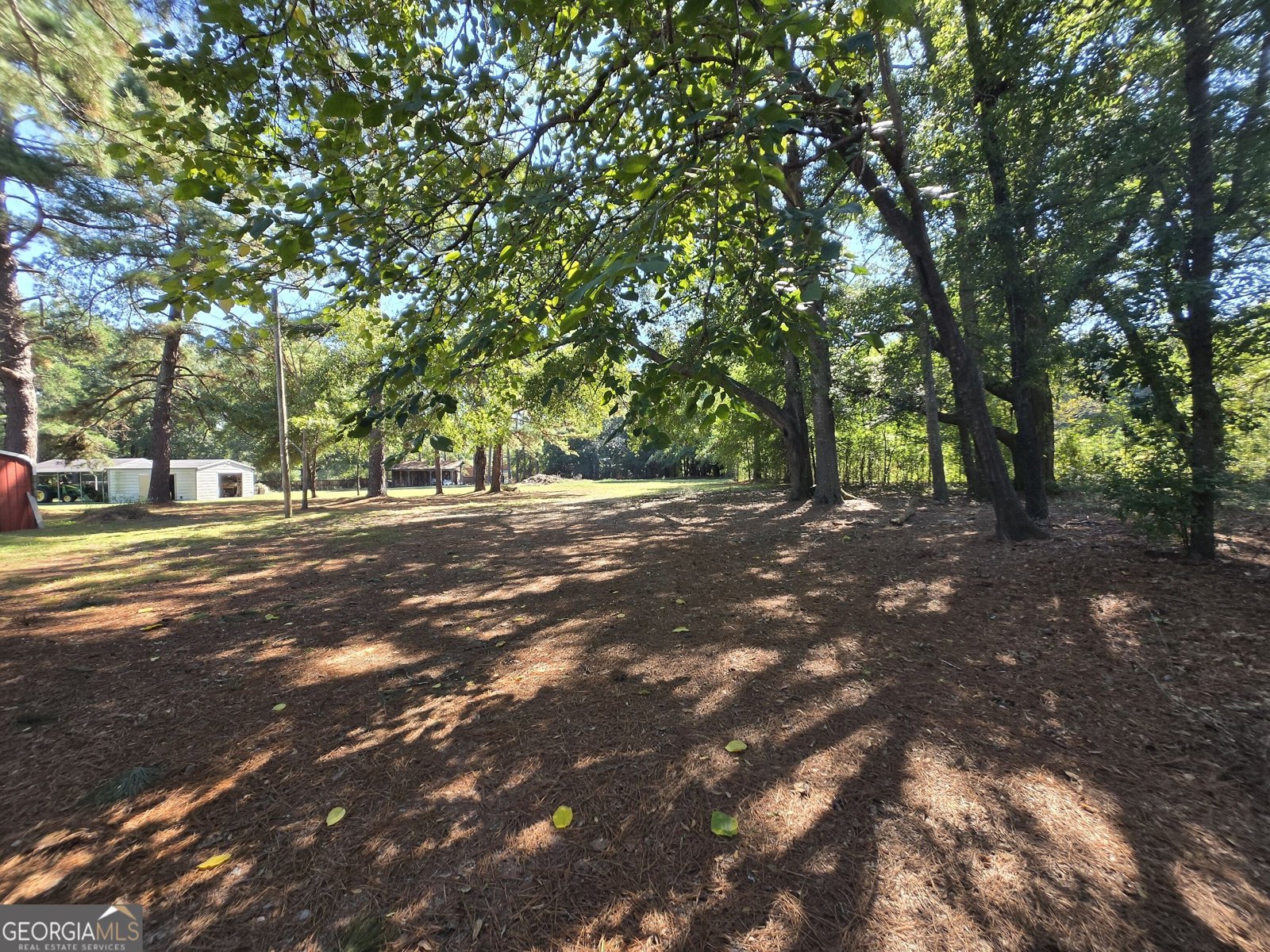 795 Main Street Davisboro - Photo 136