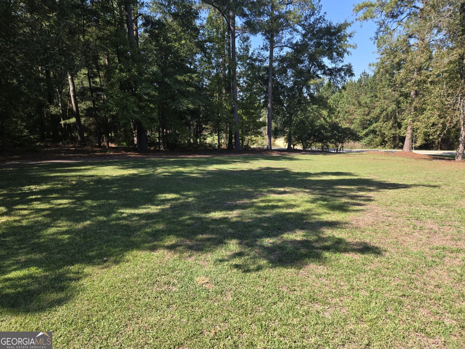 795 Main Street Davisboro - Photo 141