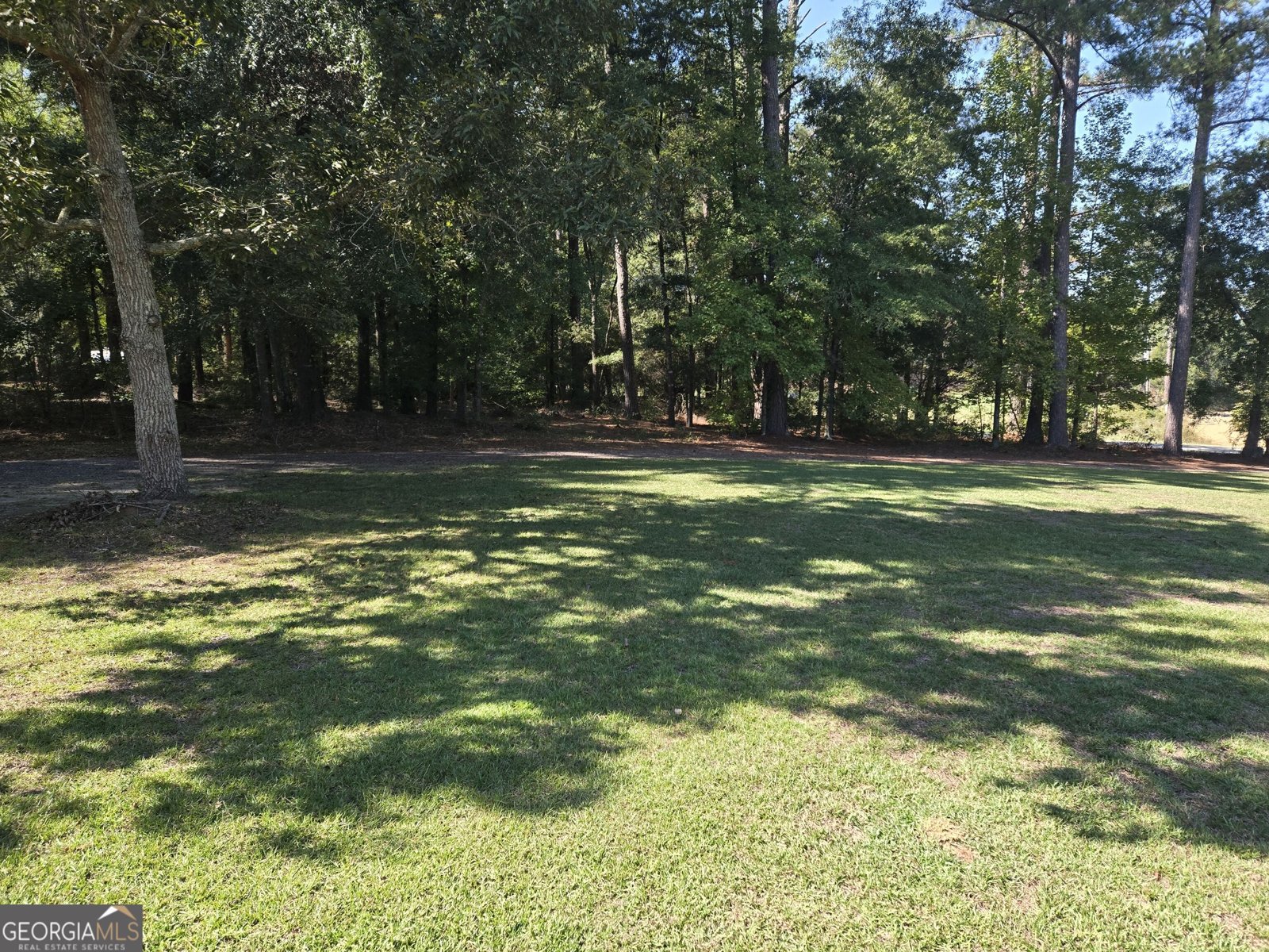 795 Main Street Davisboro - Photo 142