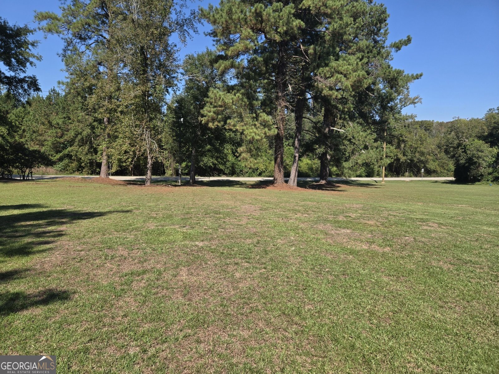 795 Main Street Davisboro - Photo 143