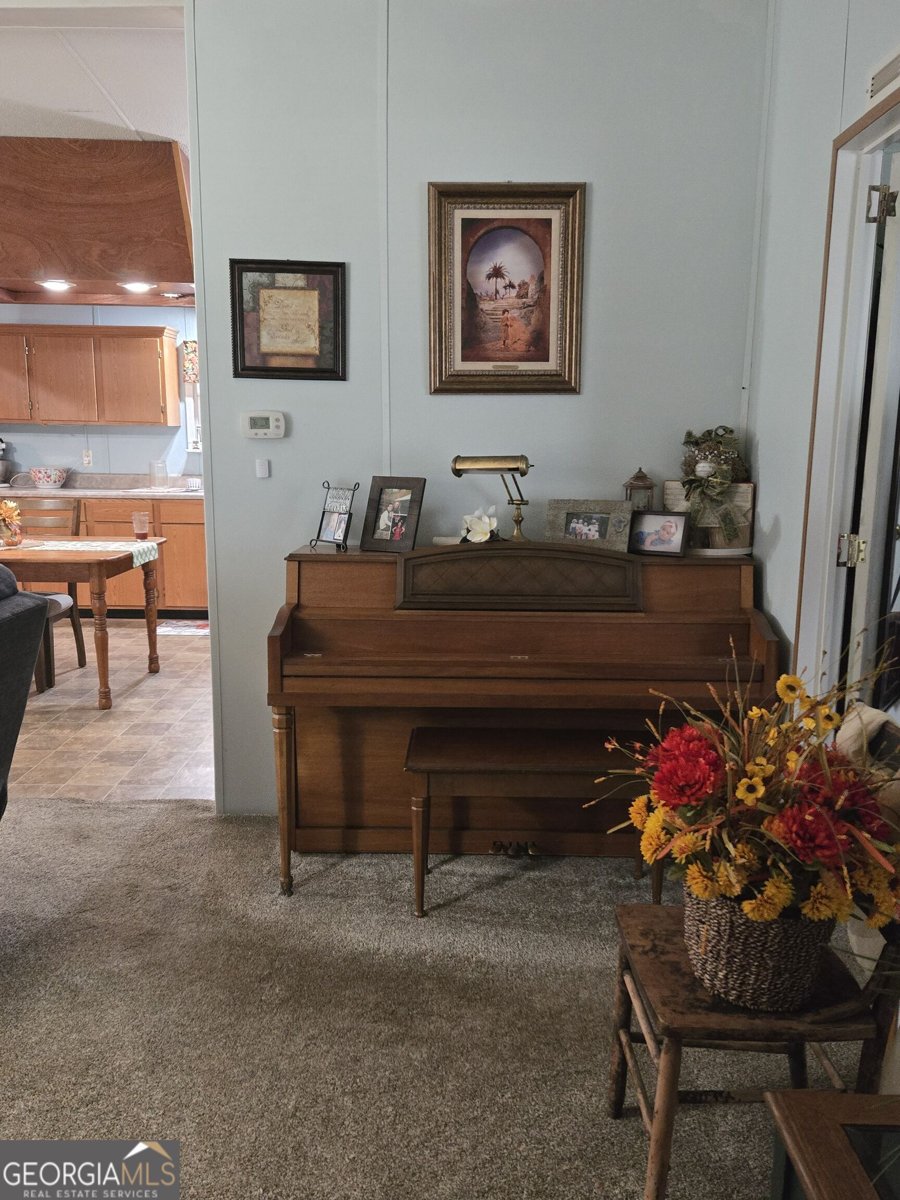 795 Main Street Davisboro - Photo 18