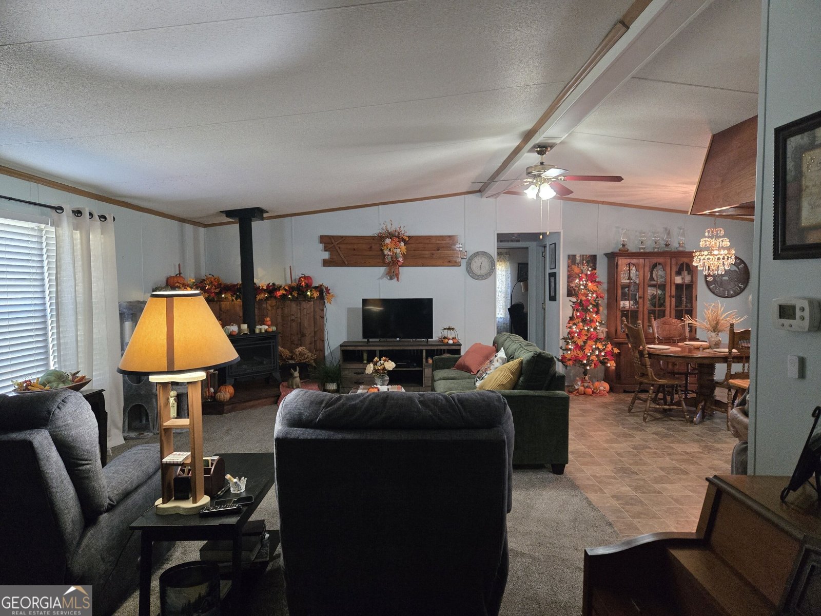 795 Main Street Davisboro - Photo 47