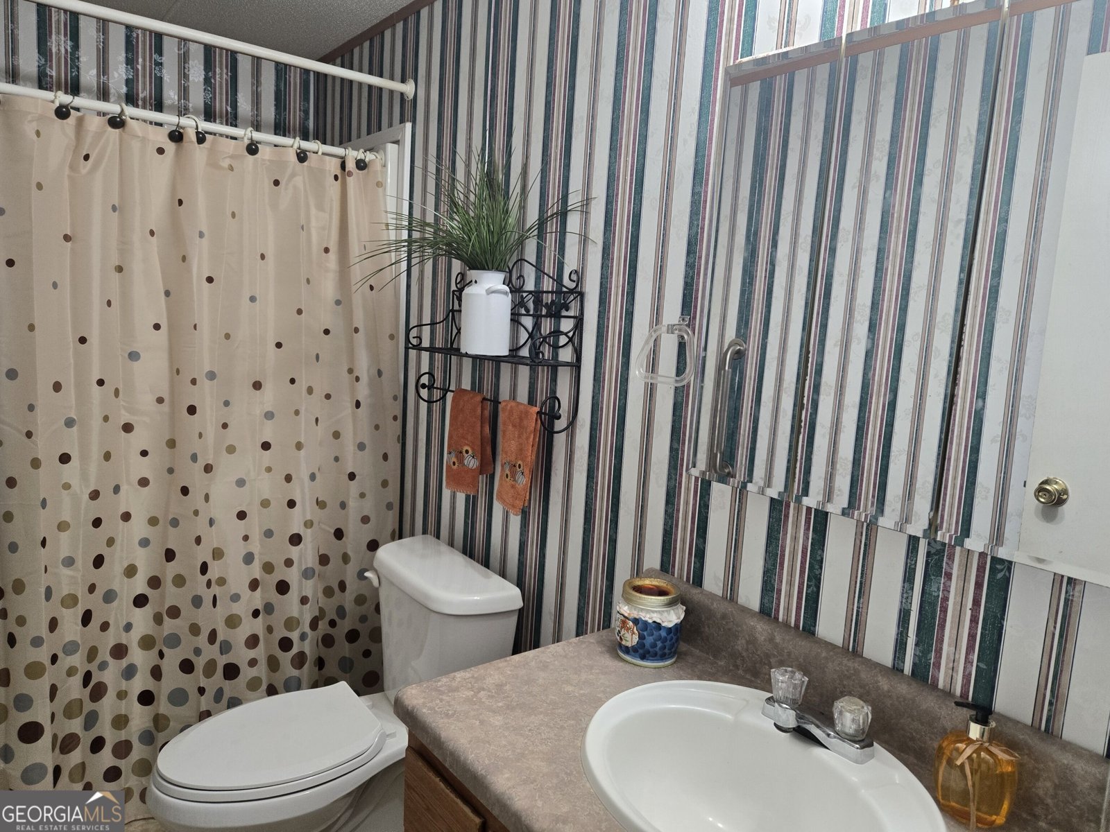 795 Main Street Davisboro - Photo 53