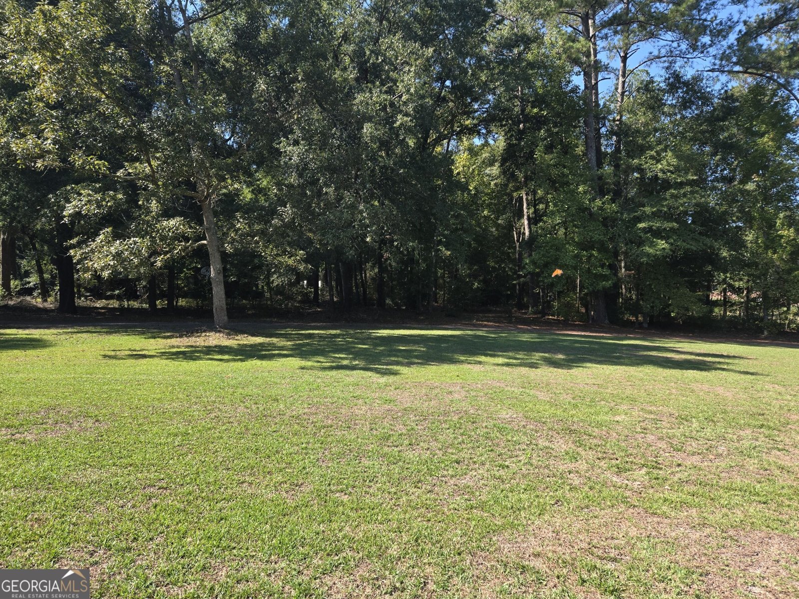 795 Main Street Davisboro - Photo 8