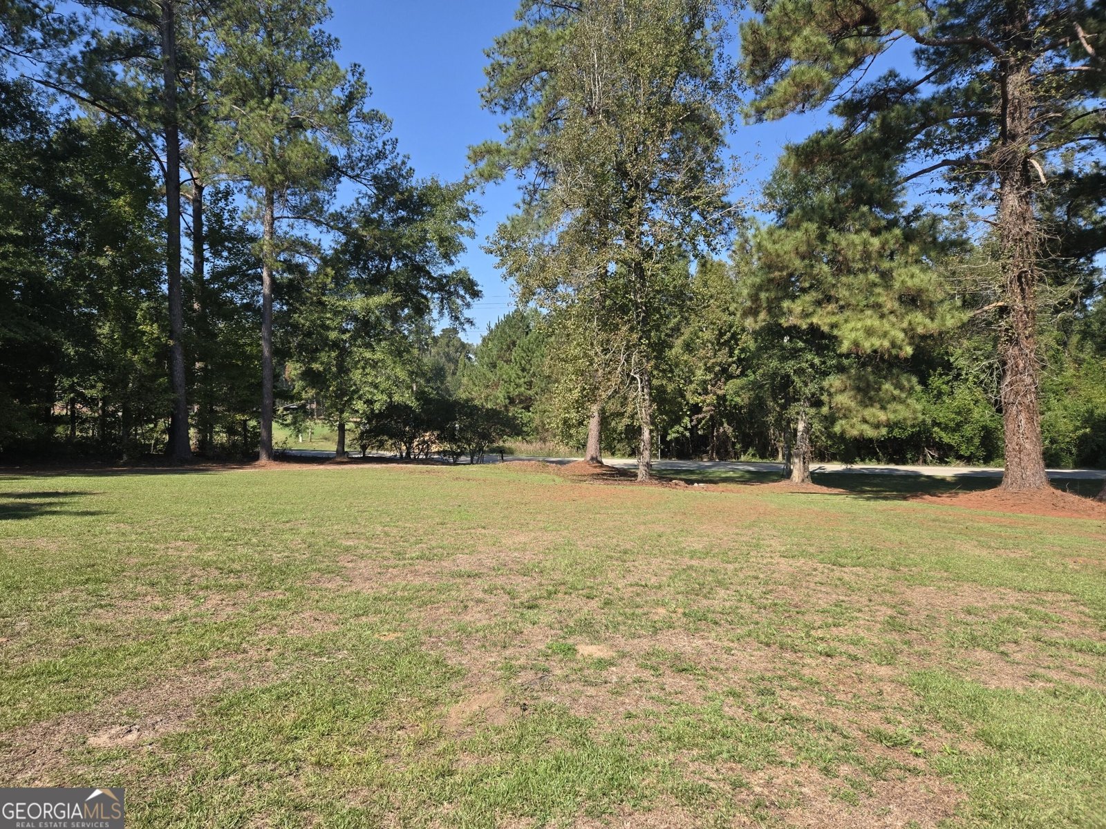 795 Main Street Davisboro - Photo 9
