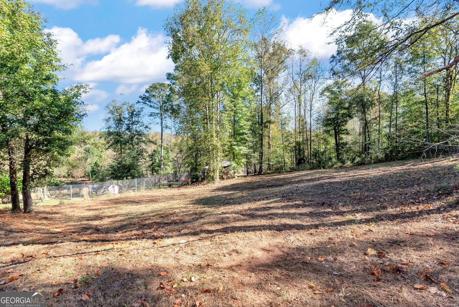 1123 Ravenwood Drive Bethlehem - Photo 52